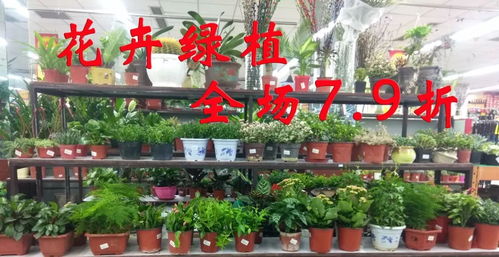 年卉盛宴 花卉賀新年，全場7.9折送好禮